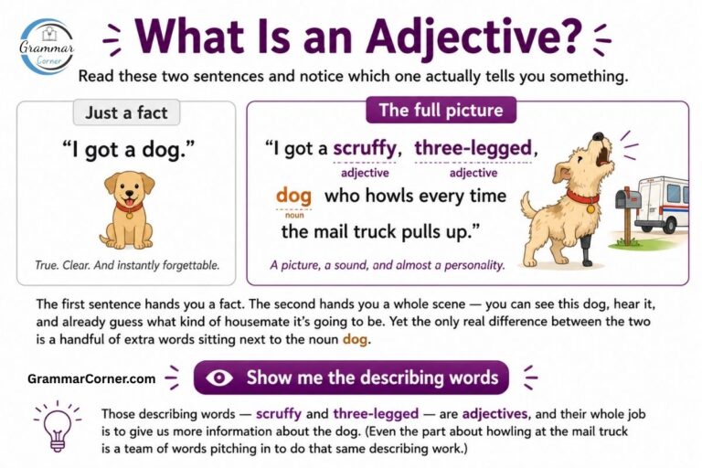 What is an adjective