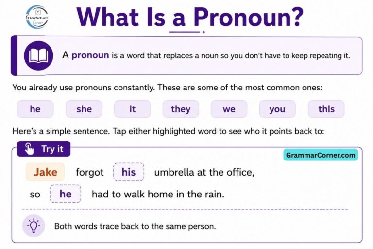 What is pronoun? Explained with examples