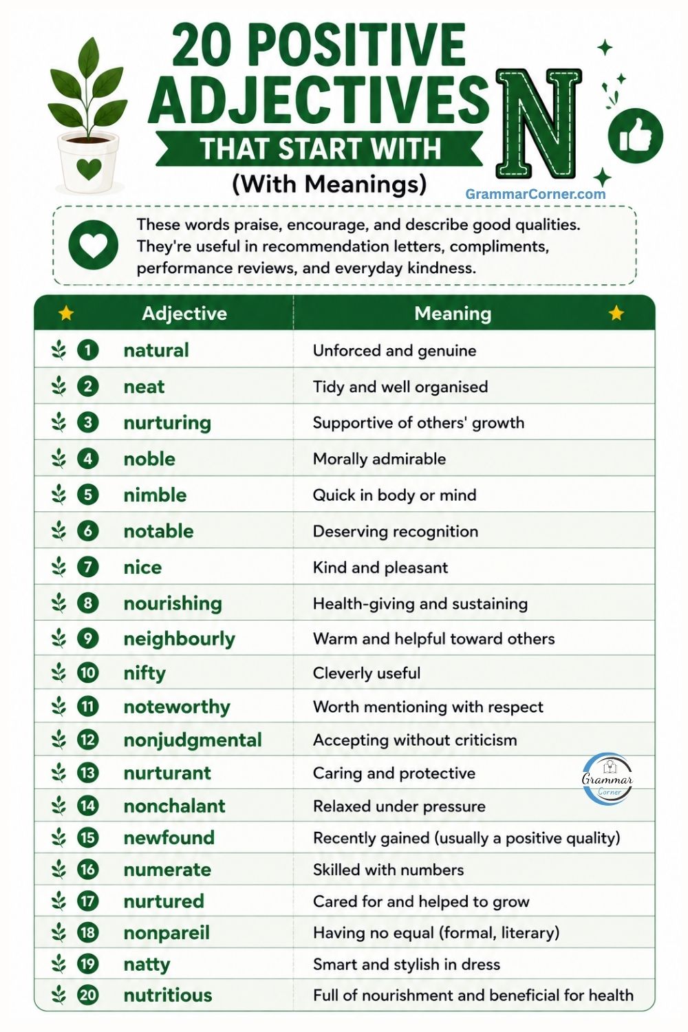 20 Adjectives That Start With N with meaning