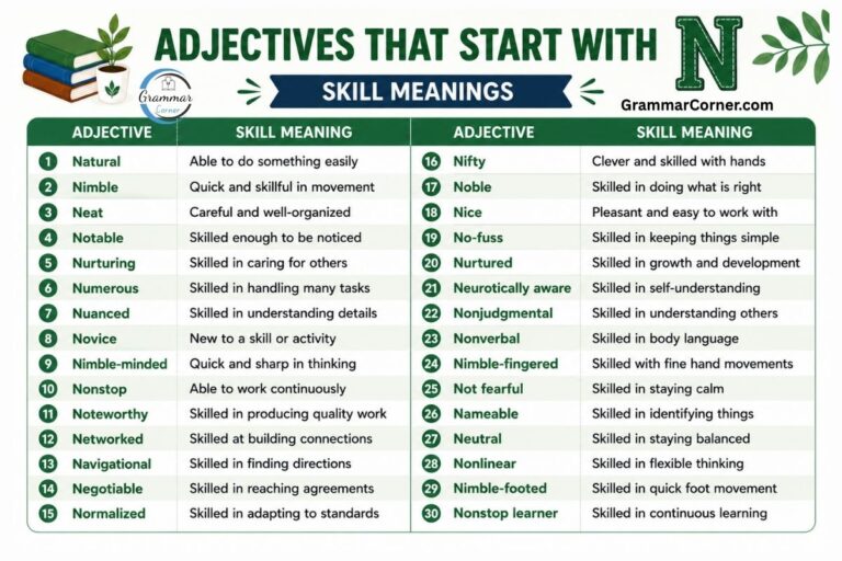 20 Useful Adjectives that start with N (With Meaning)