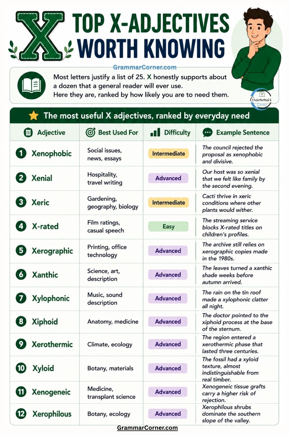 Adjectives That Start With X with meaning and examples