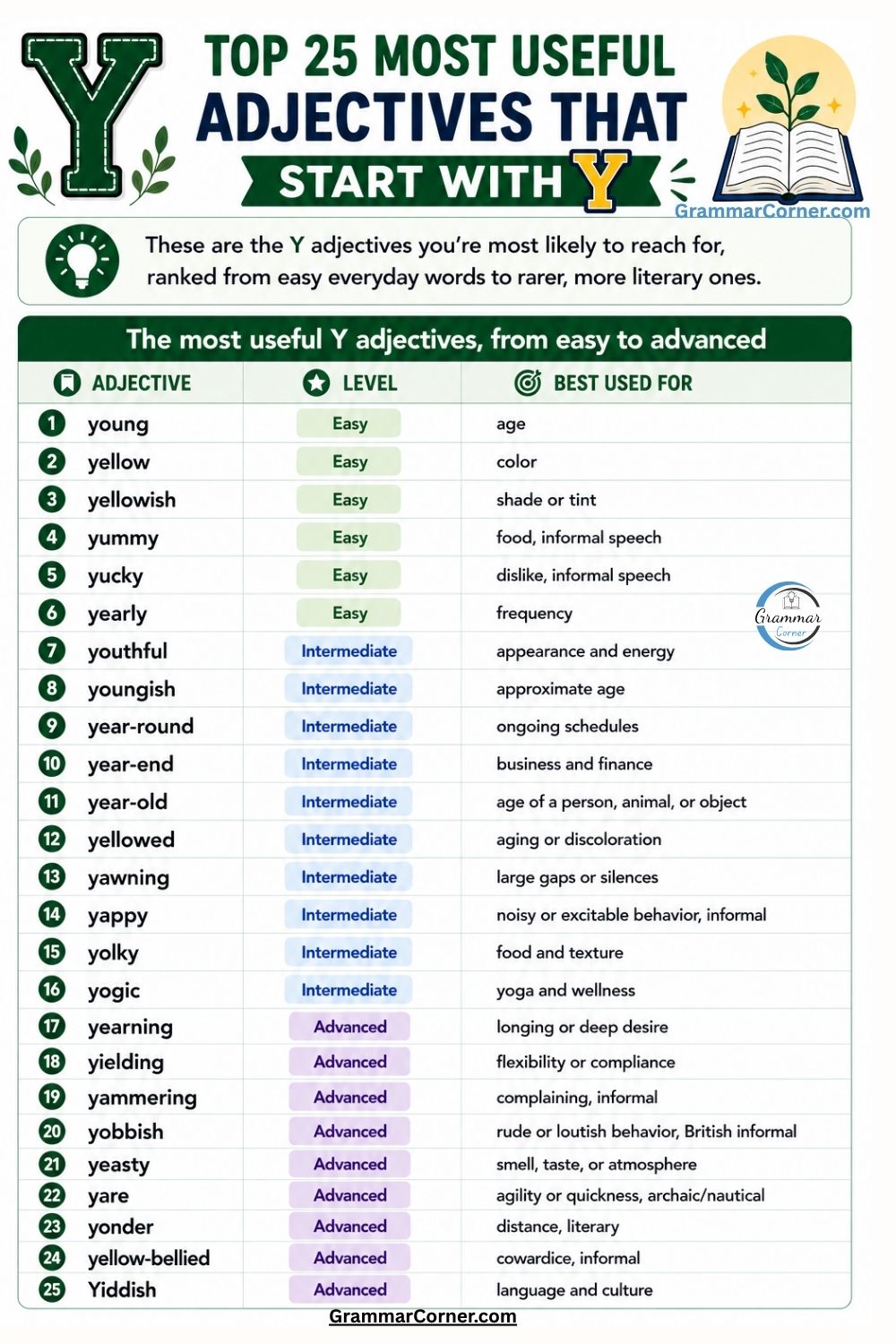 25 Useful Adjectives That Start With Y with meaning and examples