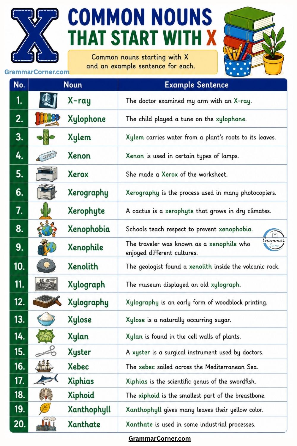 Common Nouns That Start With X