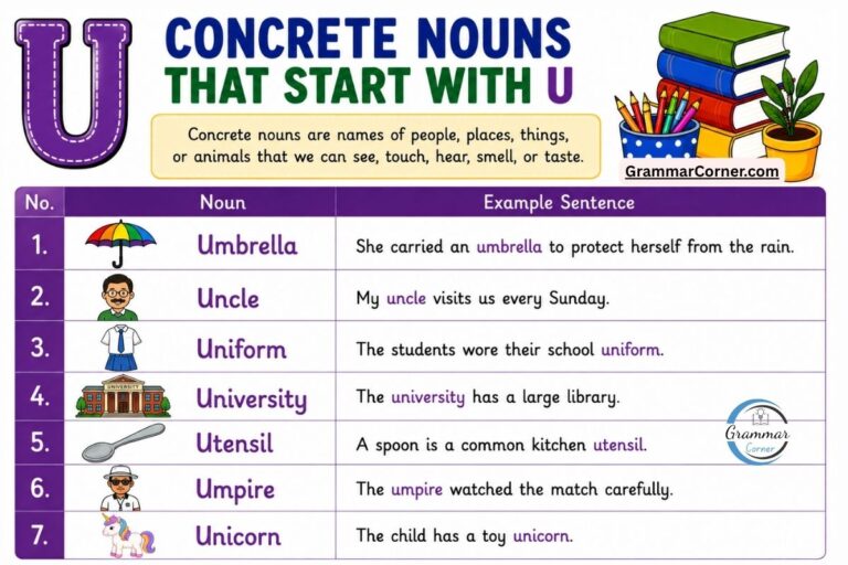 Concrete Nouns That Start With U